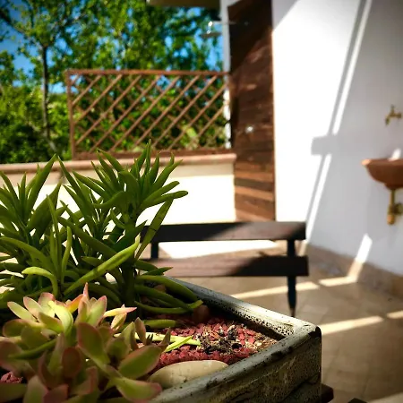 Prato San Lorenzo Bed & Breakfast *