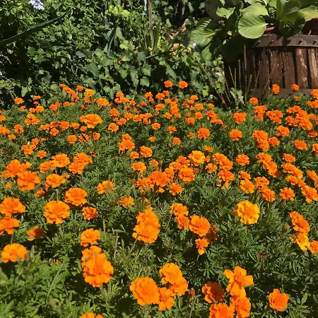 ベッド・アンド・ブレックファスト Prato San Lorenzo