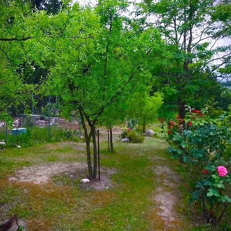 Prato San Lorenzo Oda ve Kahvaltı *