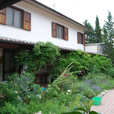 Prato San Lorenzo * Nocciano