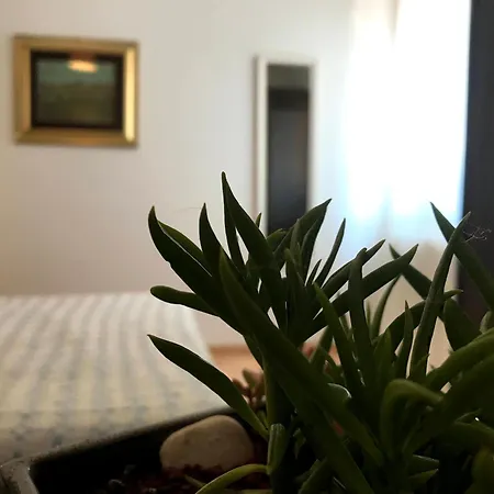 Oda ve Kahvaltı Prato San Lorenzo