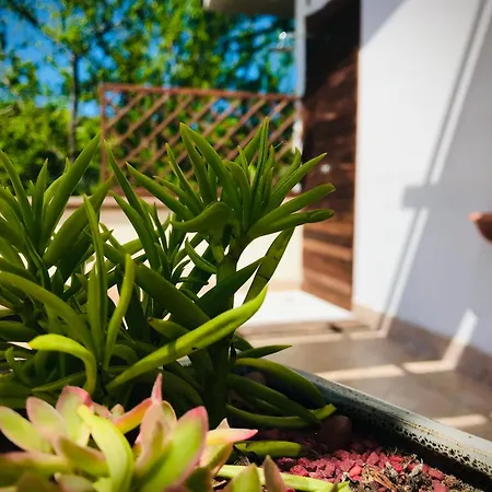 ベッド・アンド・ブレックファスト Prato San Lorenzo Nocciano