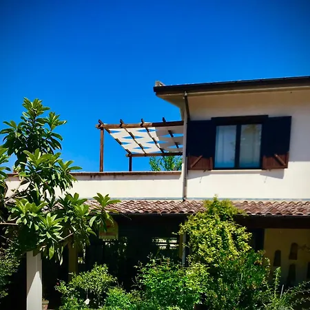 Prato San Lorenzo *