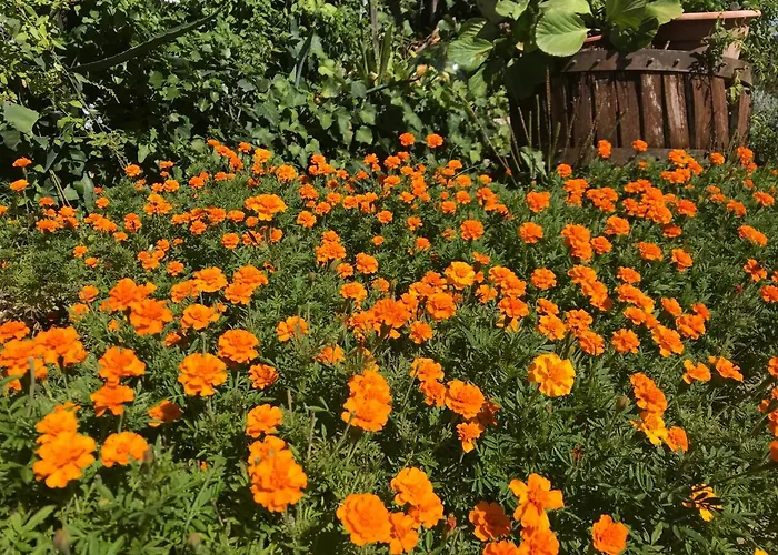 Alojamento de Acomodação e Pequeno-almoço Prato San Lorenzo