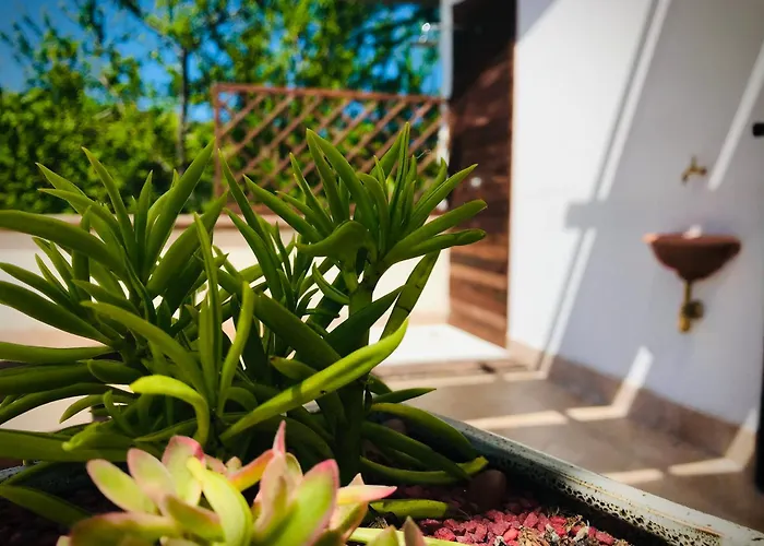 Frühstückspension Prato San Lorenzo Nocciano