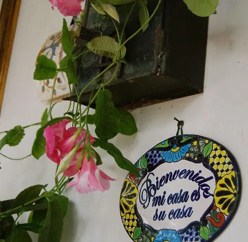 Alojamento de Acomodação e Pequeno-almoço Prato San Lorenzo